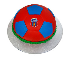 Tort Jumatate de Minge Fotbal Steaua