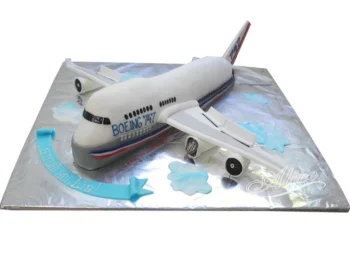 Tort Avion