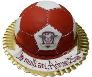 Tort Jumatate de Minge Fotbal Rapid