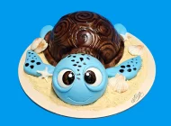 Tort  Broasca Testoasa