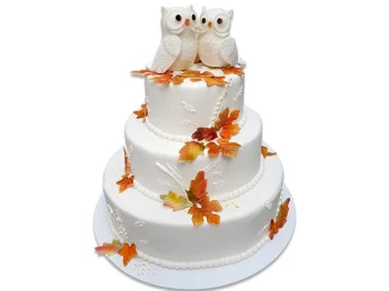 Tort de Nunta cu Bufnite