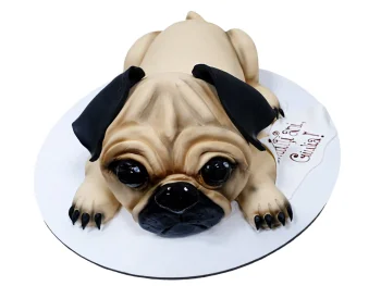 Tort Catel