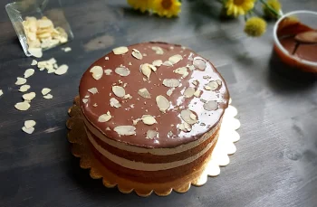 Tort Venus