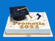 Tort cu Figurina Toca si Papirus