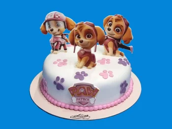 Tort cu Poze Patrula Catelusilor Skye