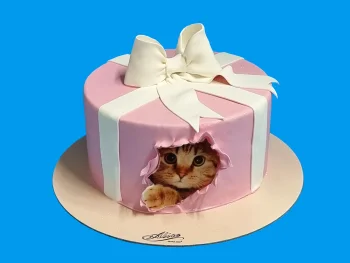 Tort Cadou Pisica