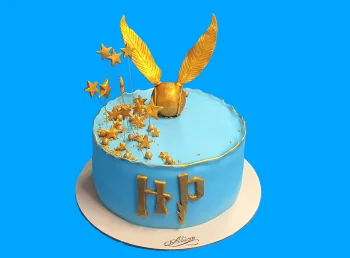 Tort Harry Potter