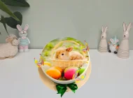 Tort cu Poza Comestibila Cos cu Iepure