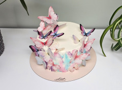 Tort Feerie de Fluturi