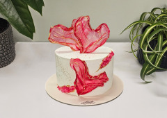 Tort Love