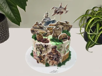 Tort cu Poze Militar
